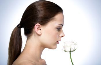 Hair in a Ponytail