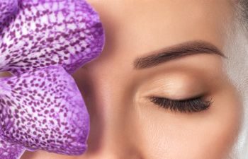 woman's eyebrow